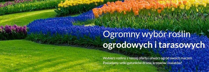 przyjazna Szkółki drzew, krzewów, Paweł Piwowarczyk FHU Ilex, Skawina